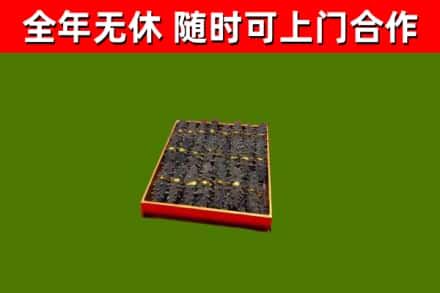 巴东回收海参